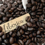 What is Liberica Coffee?